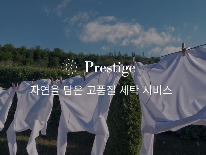 프리미엄 세탁소 - Prestige 썸네일