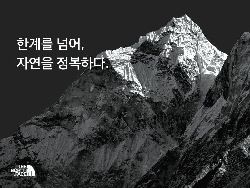 야생 속으로 / Into the Wilderness 썸네일