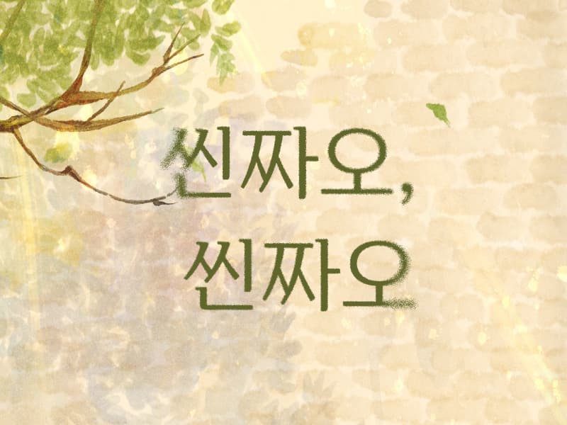 씬짜오, 씬짜오 썸네일