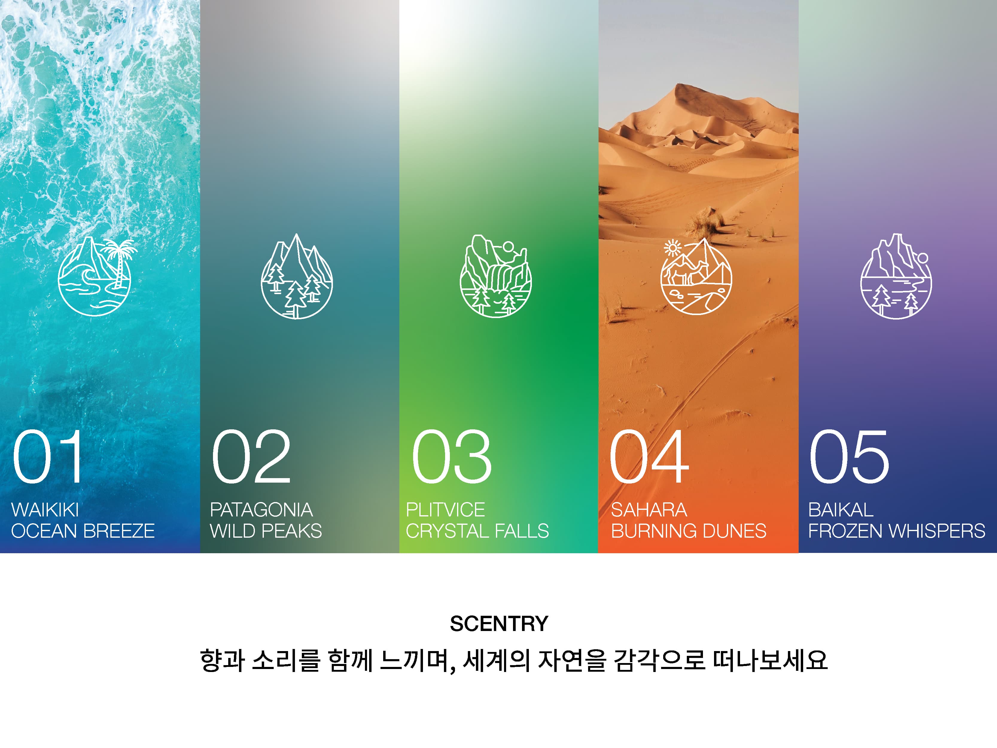 SCENTRY | 향과 감각으로 떠나는 자연 여행 썸네일