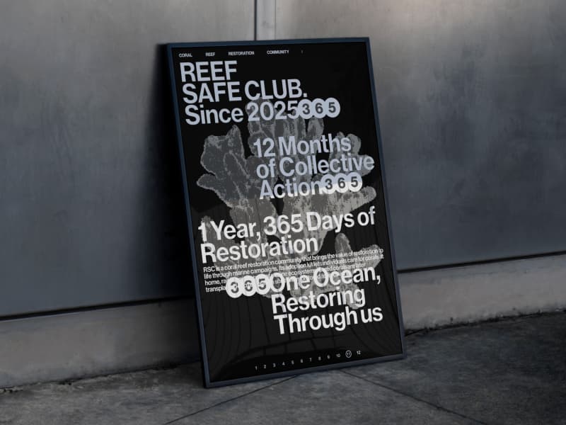 REEF SAFE CLUB 썸네일
