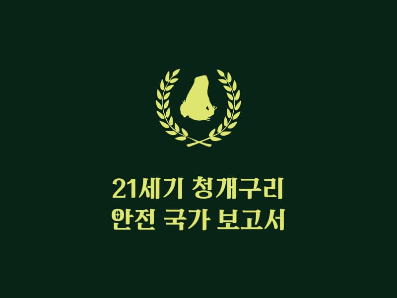 21세기 청개구리 안전 국가 보고서 썸네일